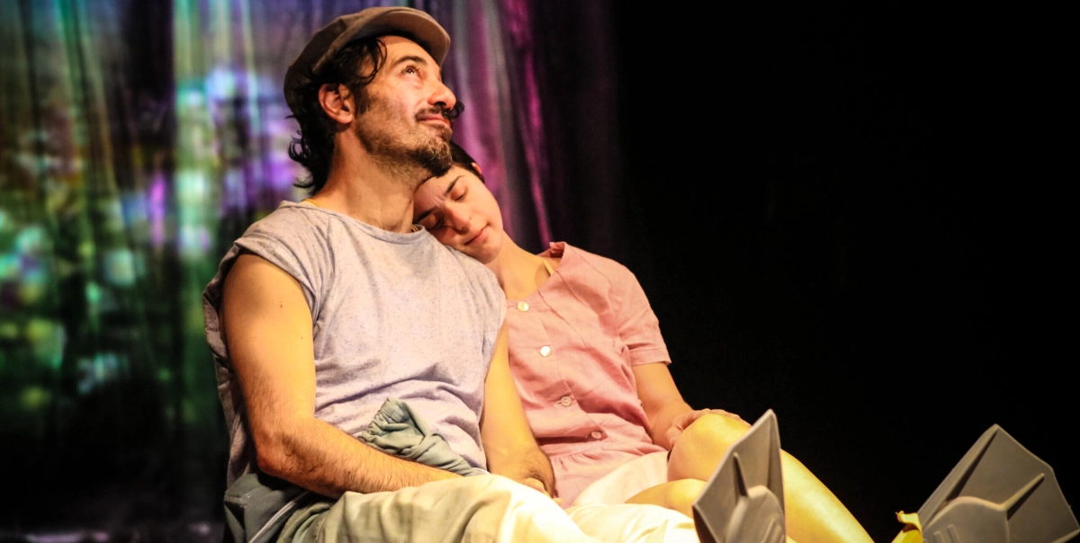 Het dagboek van een lelijk eendje (6-106)